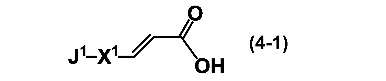 Figure JPOXMLDOC01-appb-C000009
