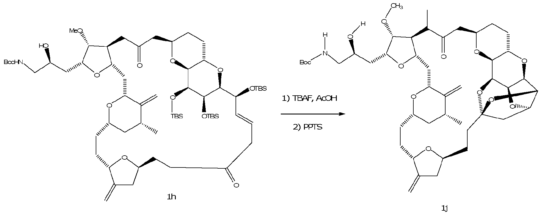 Figure imgf000053_0001