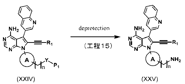 Figure JPOXMLDOC01-appb-C000010