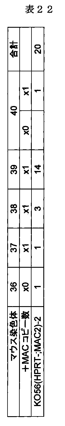 Figure JPOXMLDOC01-appb-T000065