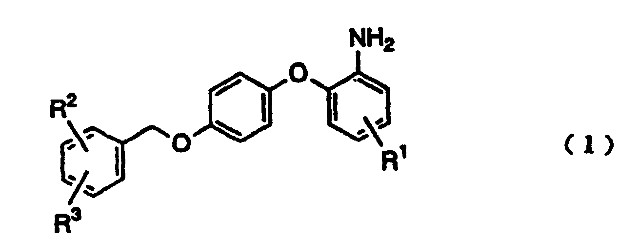Figure 00310001