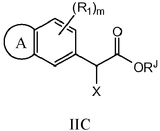 Figure imgb0104