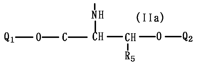 Figure JPOXMLDOC01-appb-C000025