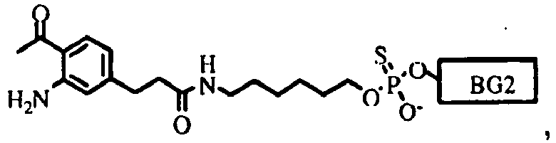 Figure imgb0046