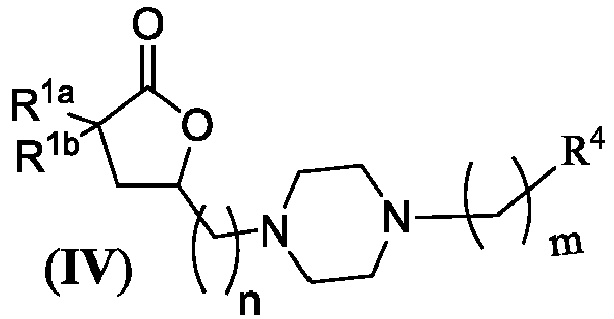 Figure imgb0046