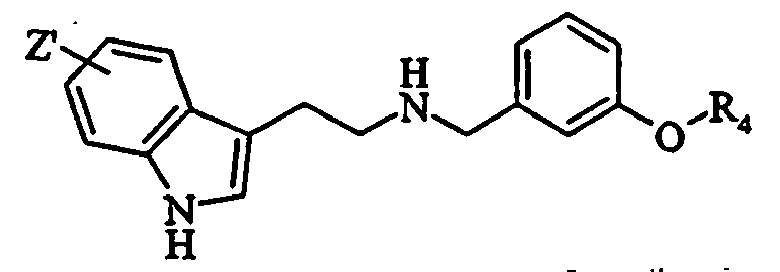 Figure imgb0053