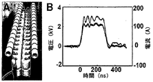 Jp5329978b2 メラノーマの自己破壊を引き起こすナノ秒パルス電界 Google Patents