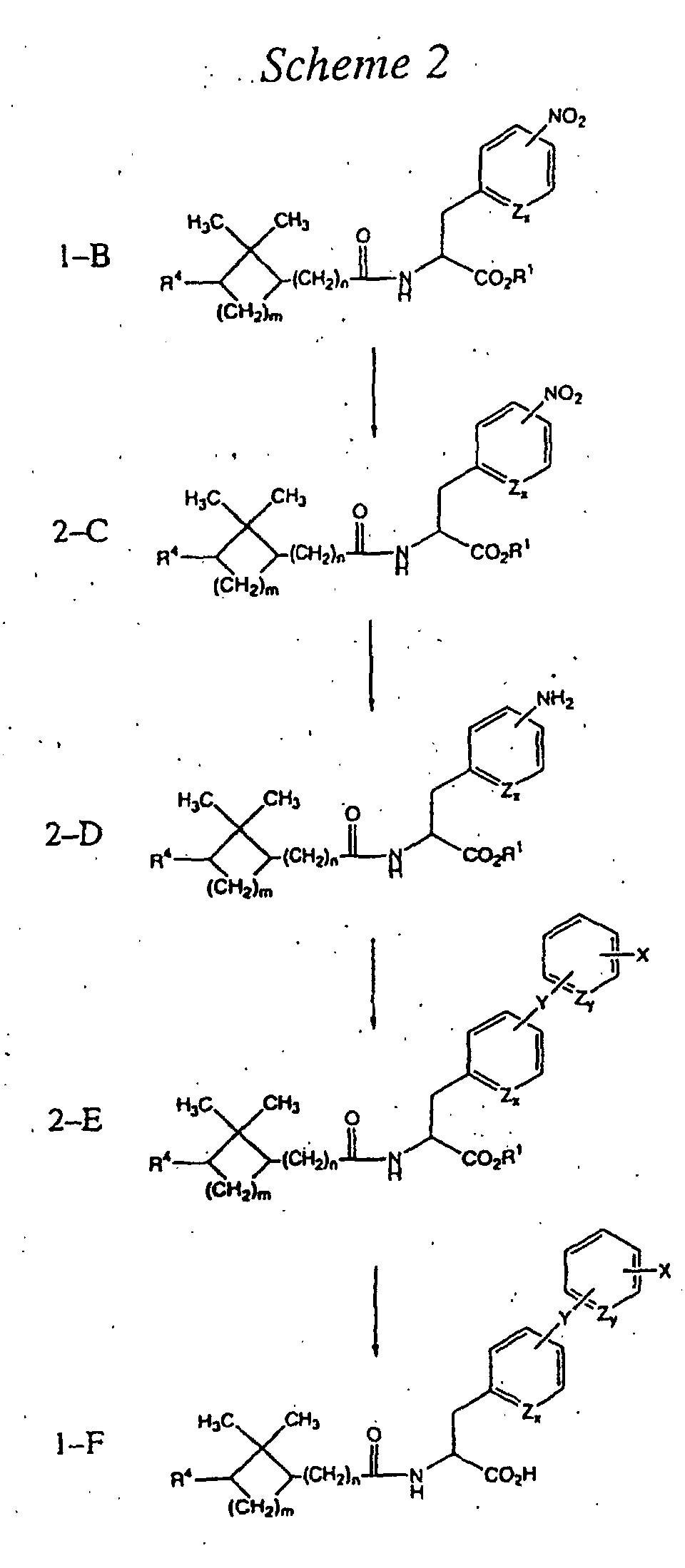 Figure 00510001