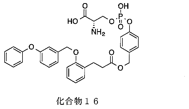 Figure JPOXMLDOC01-appb-C000075
