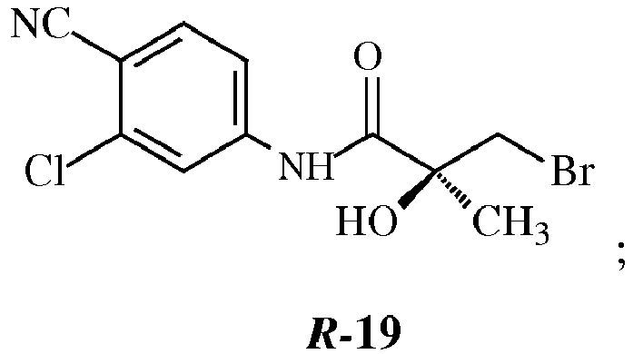 Figure imgb0014