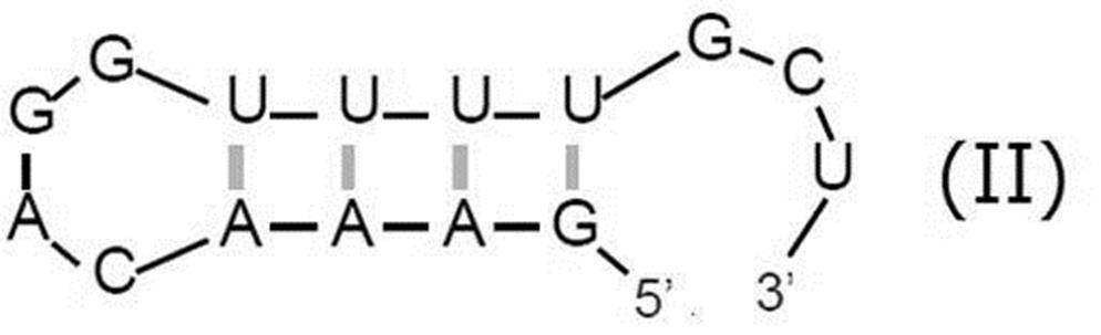 Figure JPOXMLDOC01-appb-C000003