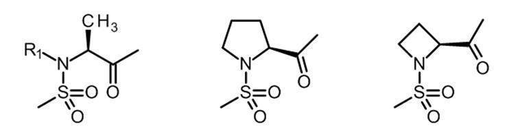 Figure JPOXMLDOC01-appb-C000124