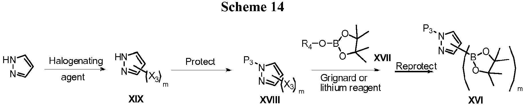 Figure imgb0146