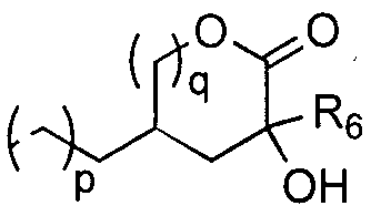 Figure imgf000009_0001