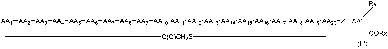 Figure JPOXMLDOC01-appb-C000029