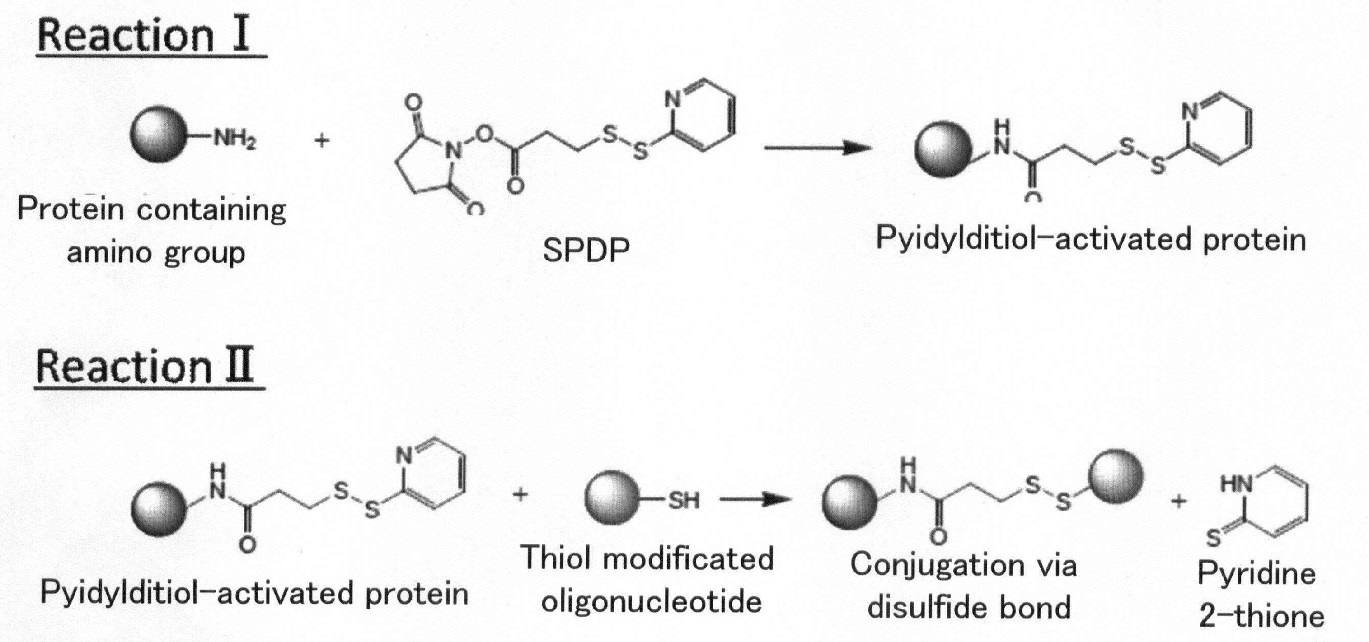 Figure JPOXMLDOC01-appb-C000004