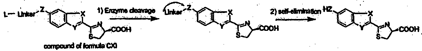 Figure imgb0044