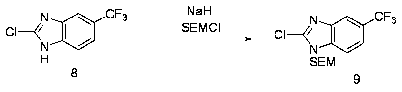 Figure JPOXMLDOC01-appb-C000043