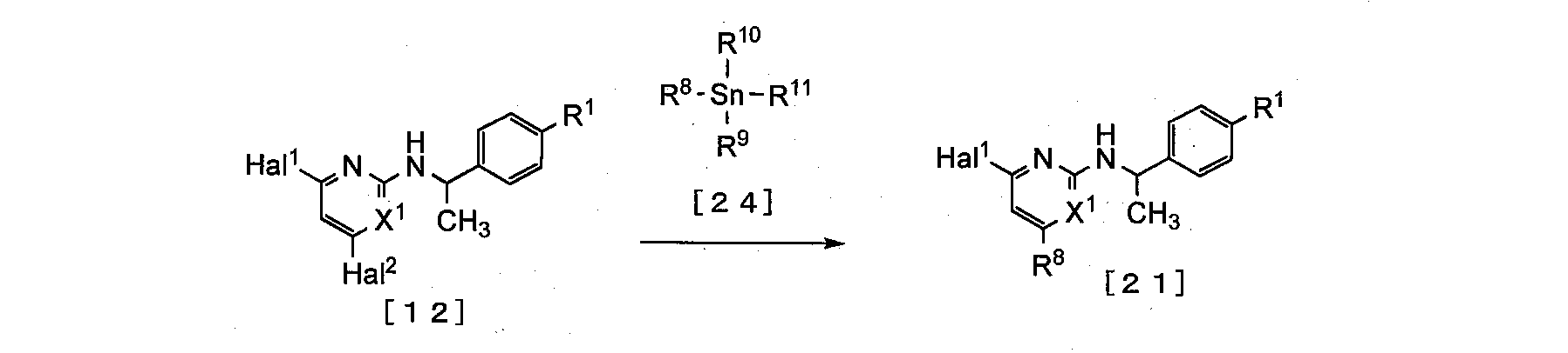 Figure JPOXMLDOC01-appb-C000053