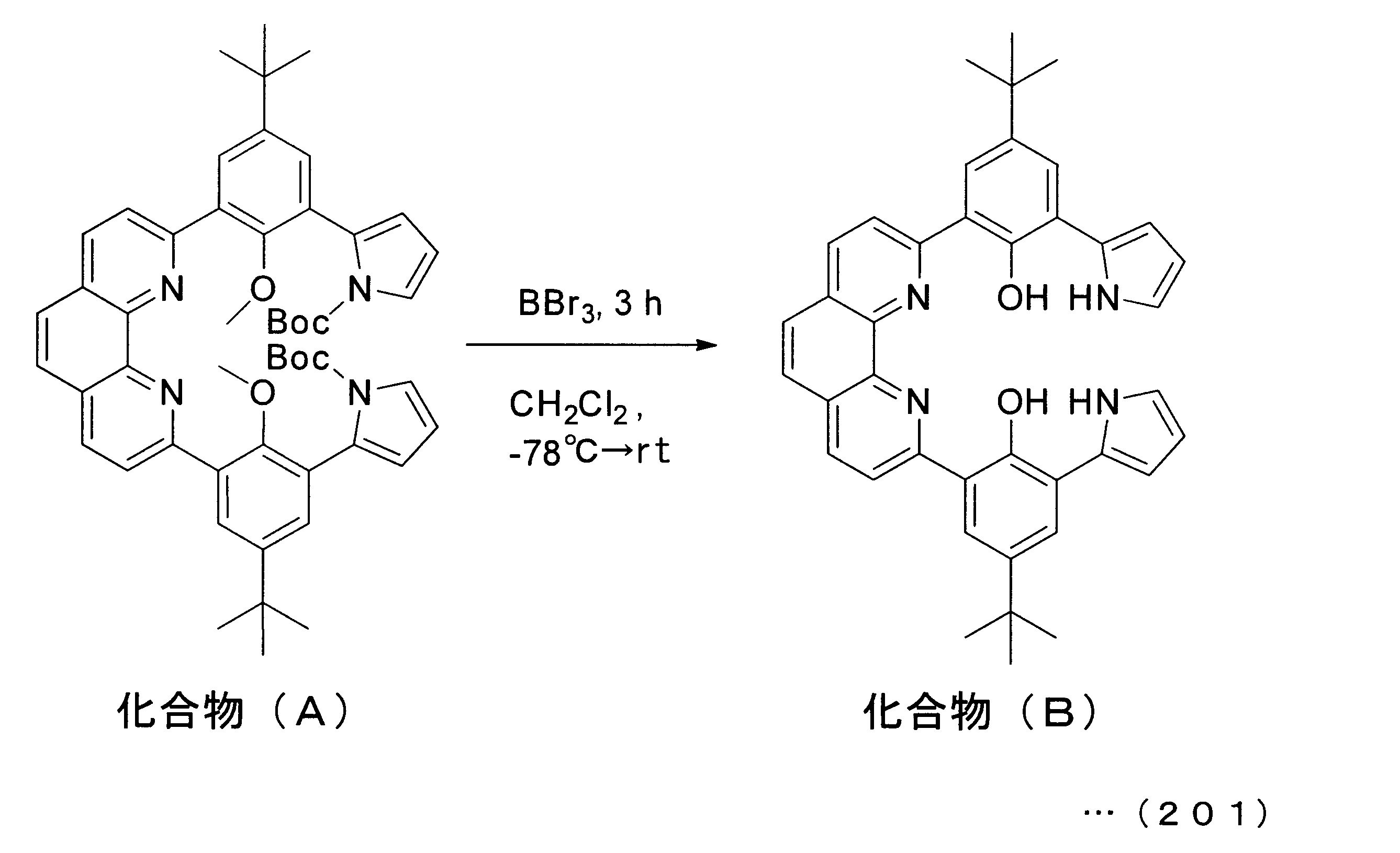 Figure JPOXMLDOC01-appb-C000161