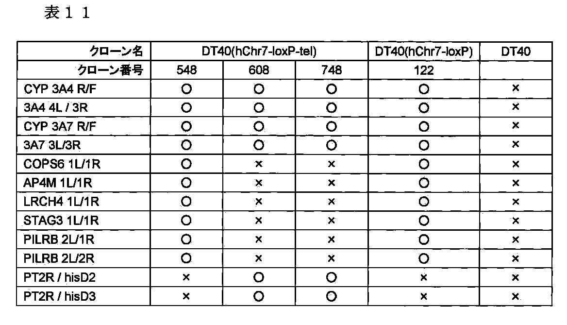 Figure JPOXMLDOC01-appb-T000032
