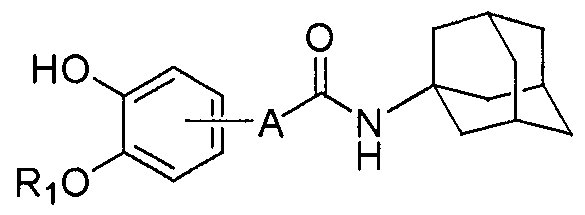 Figure imgf000002_0001