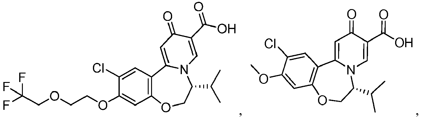 Figure imgb0213