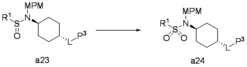 Figure JPOXMLDOC01-appb-C000031
