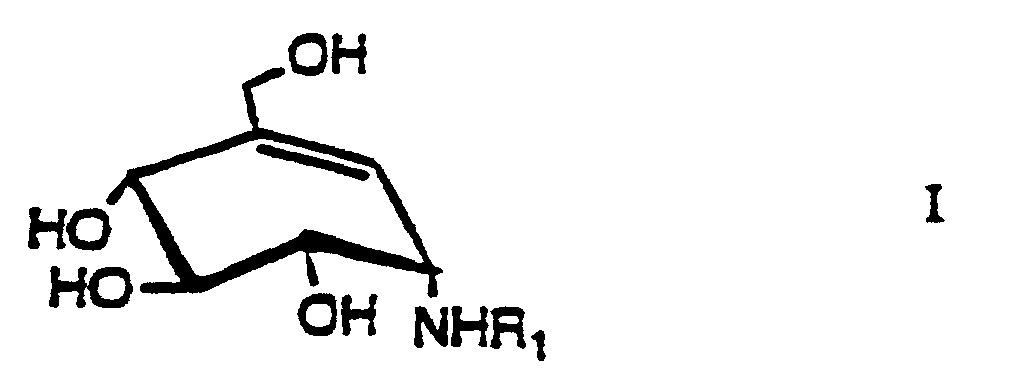 Figure 00310001