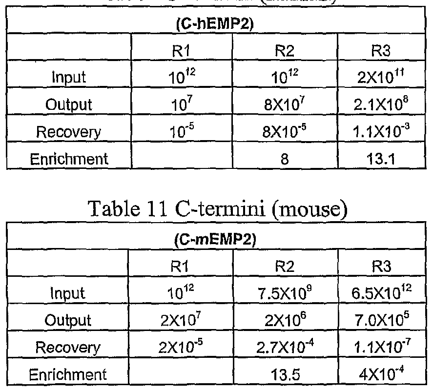 Figure imgf000053_0003