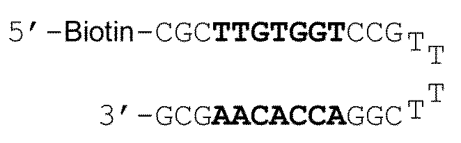 Figure JPOXMLDOC01-appb-C000052