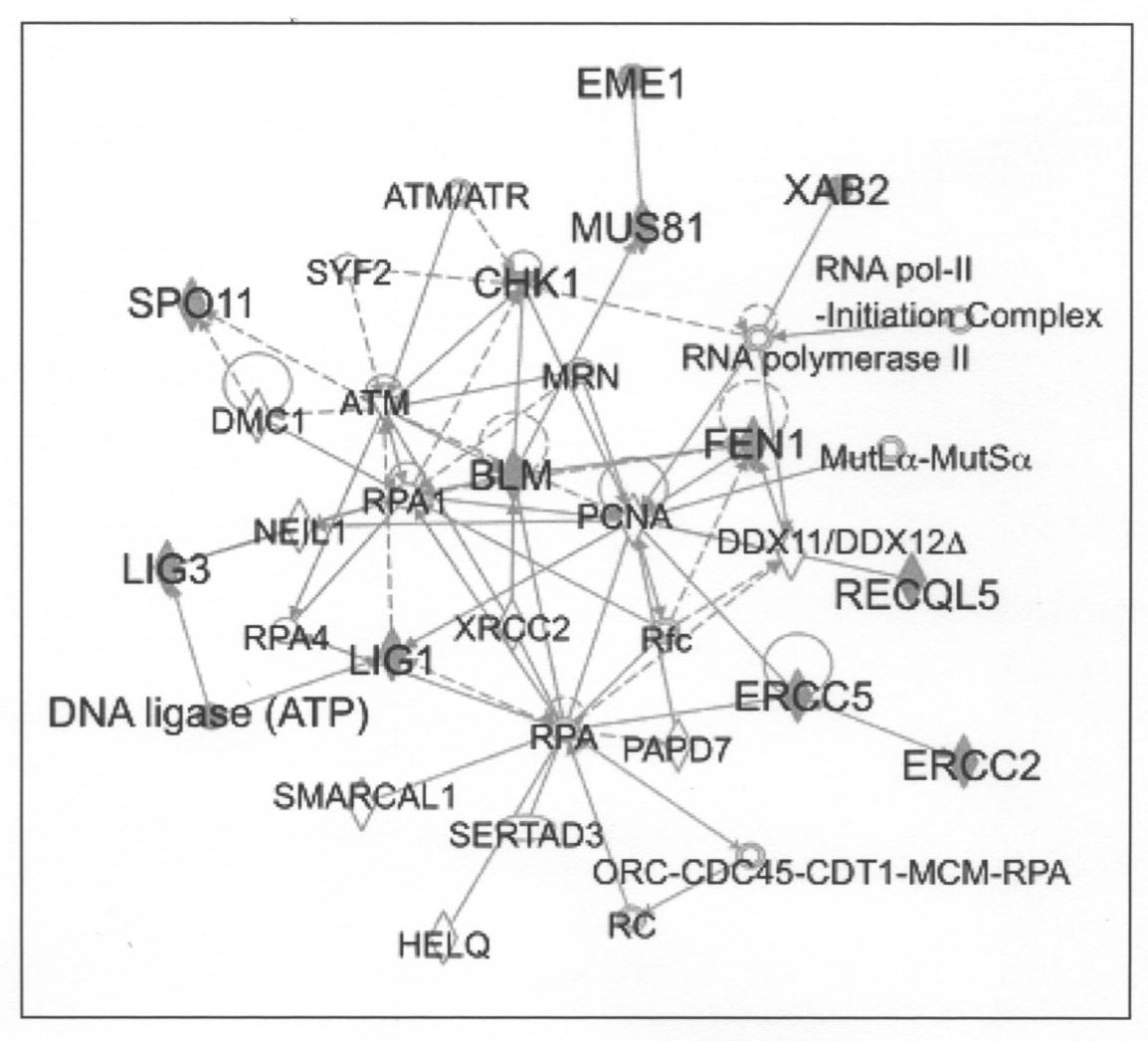 google patents
