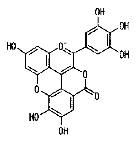 Figure JPOXMLDOC01-appb-C000024