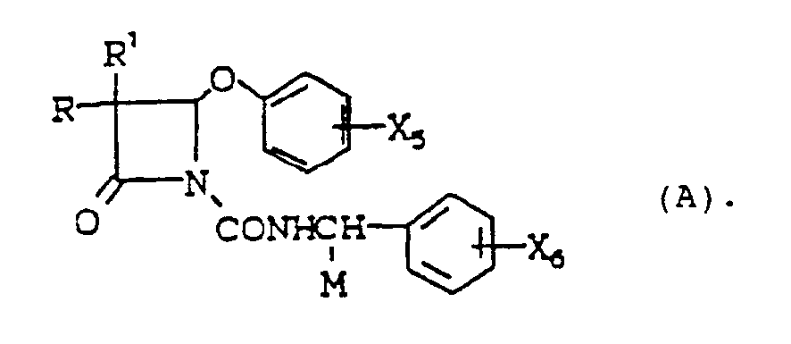Figure imgb0050