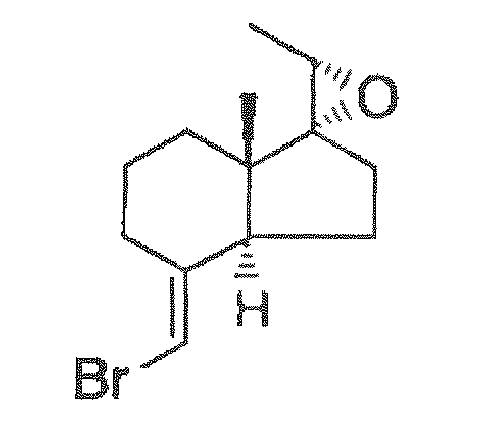 Figure imgb0033