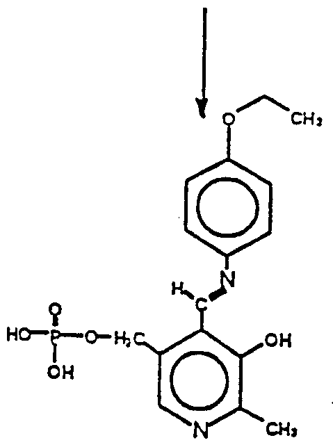 Figure imgf000005_0002