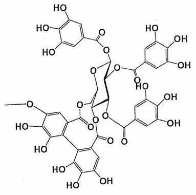 Figure JPOXMLDOC01-appb-C000015