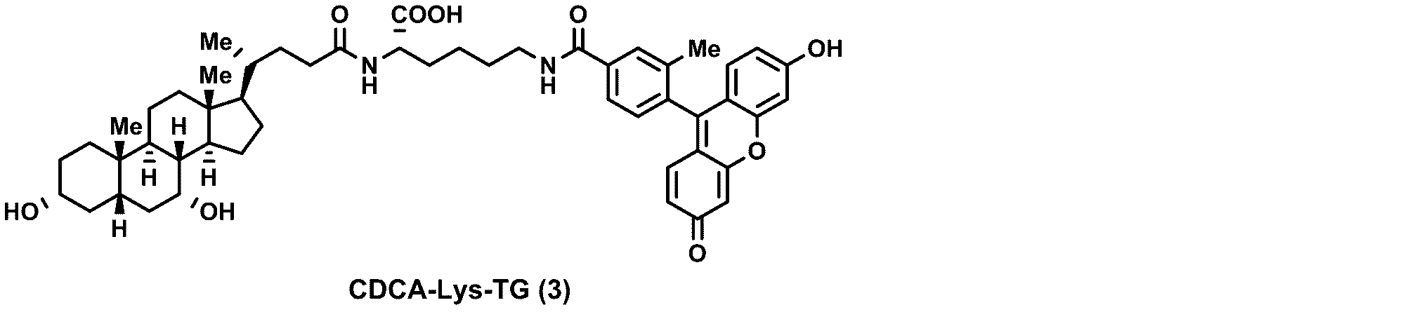 Figure JPOXMLDOC01-appb-C000025