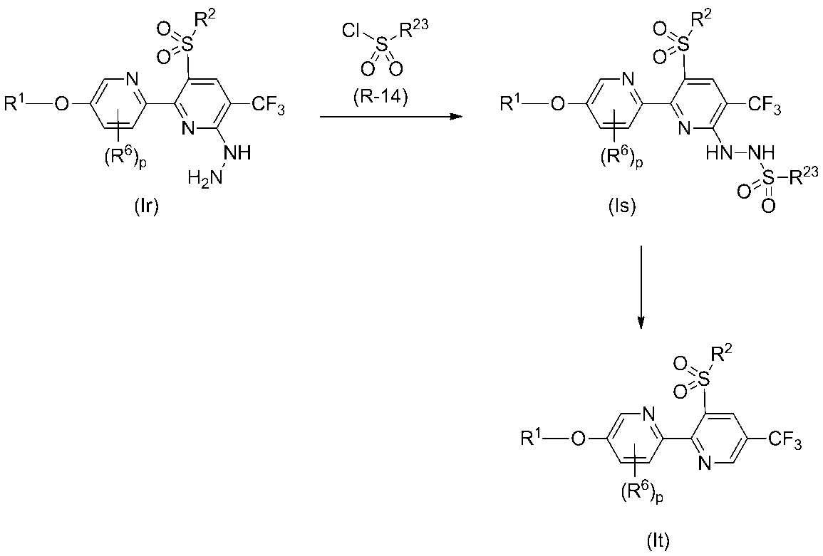 Figure JPOXMLDOC01-appb-C000023