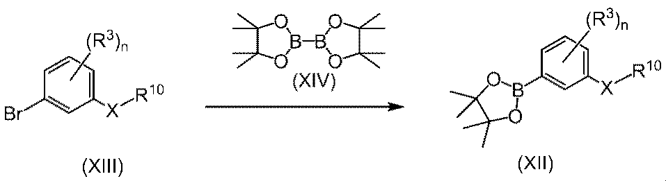Figure JPOXMLDOC01-appb-C000009