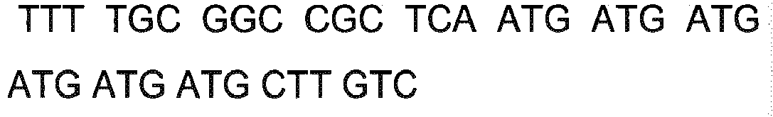 Figure imgb0027