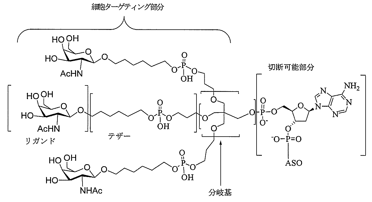 Figure 0007127076000118