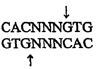 Figure imgb0002