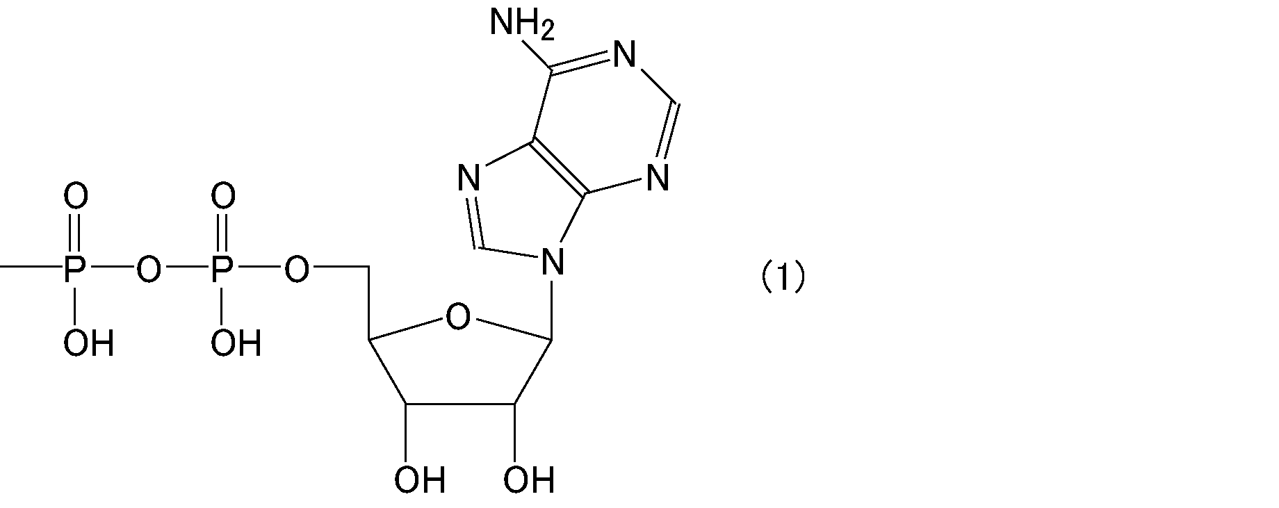 Figure JPOXMLDOC01-appb-C000011
