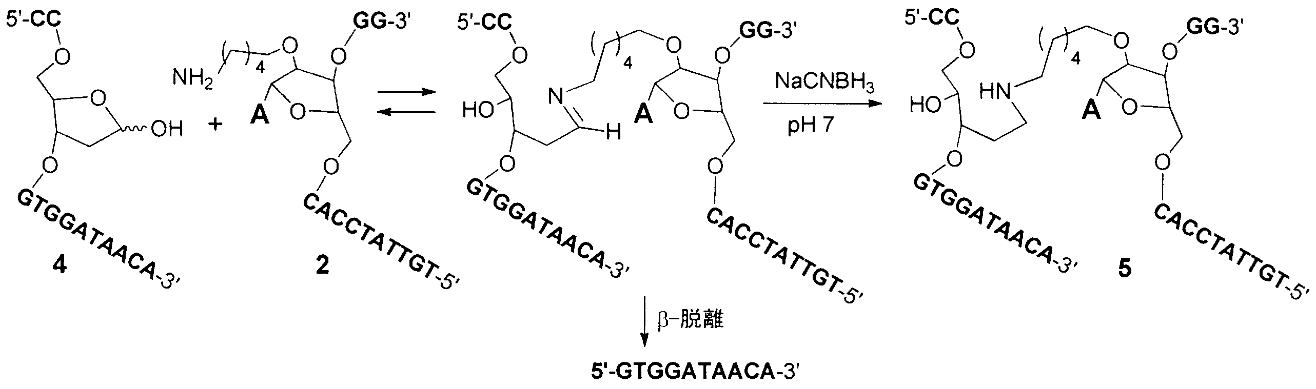 Figure JPOXMLDOC01-appb-C000037