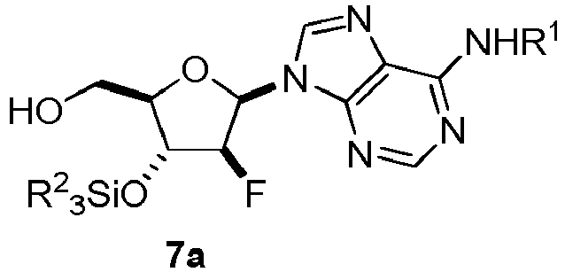 Figure imgb0052
