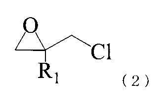 Figure JPOXMLDOC01-appb-C000007