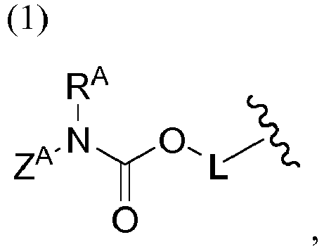 Figure imgb0110
