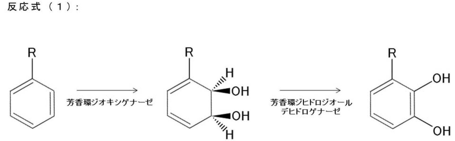 Figure JPOXMLDOC01-appb-C000013