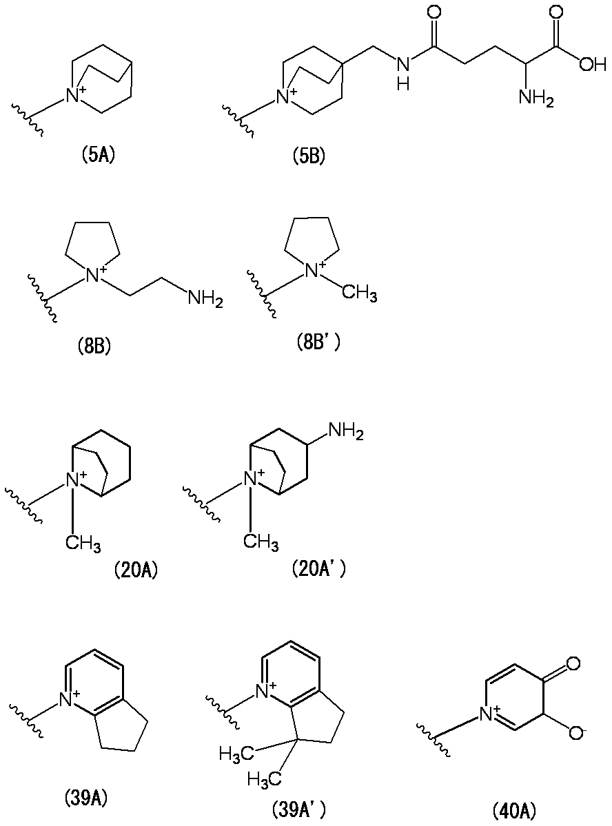 Figure JPOXMLDOC01-appb-C000030